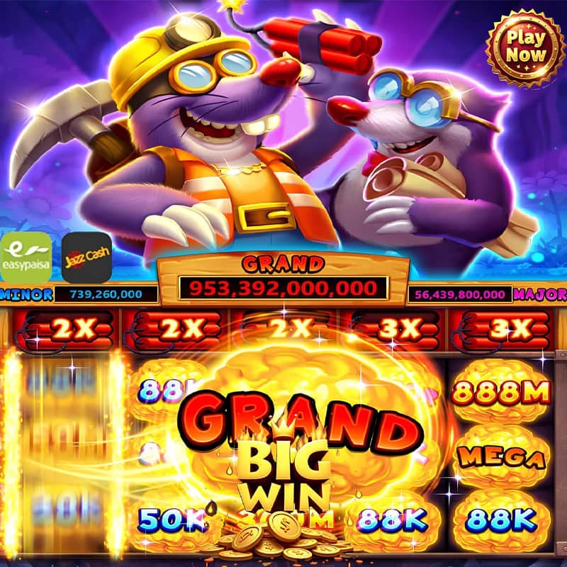 Novomatic Slot Machines Gaming Experience and Features 